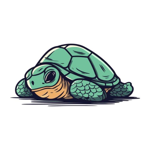 Turtle isolated on white background. Vector illustration in cart