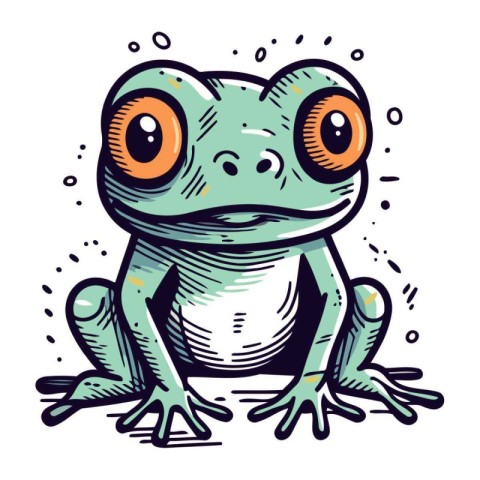 Frog. Vector illustration of a cartoon frog. Hand drawn frog.