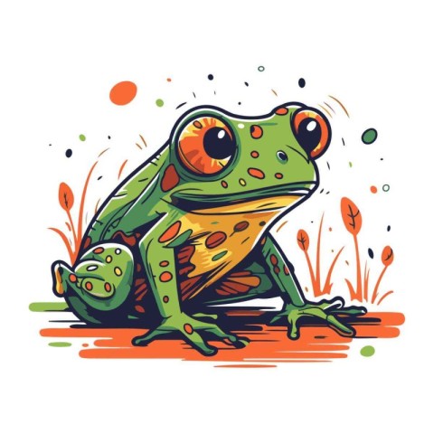 Frog. Vector illustration. Isolated on a white background.