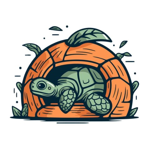 Turtle in the shell. Vector illustration isolated on white backg