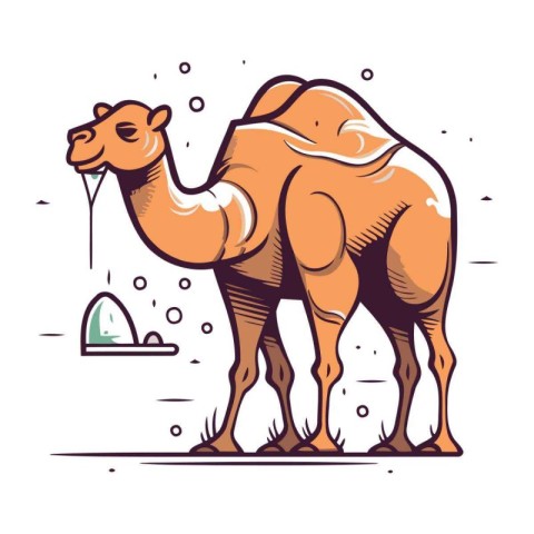 Camel with a glass of wine. Vector illustration in cartoon style