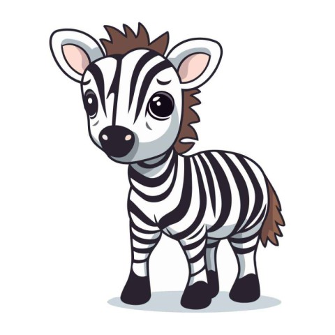 Cute little zebra isolated on white background. Vector illustrat