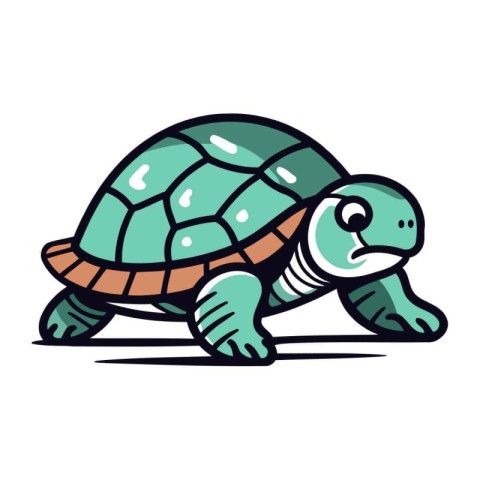 Turtle vector illustration isolated on a white background. Carto