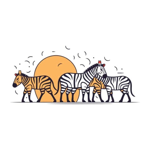 Zebra family in line art style on white background. Vector illus