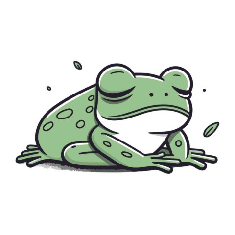 Frog vector illustration. Isolated frog on white background. Vec