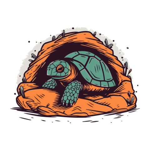 Turtle in shell. Hand drawn vector illustration in cartoon style