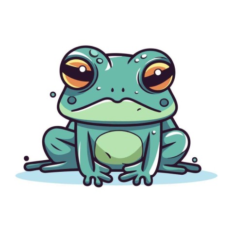 Frog. Vector illustration. Isolated on a white background.