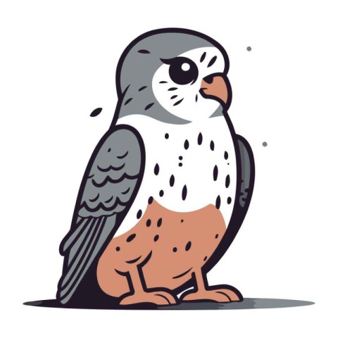 Peregrine falcon. Vector illustration on white background.