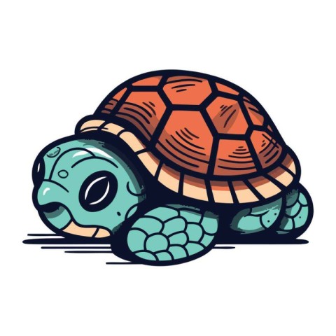 Turtle icon. Cartoon illustration of turtle vector icon for web