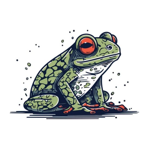 Frog. Hand drawn vector illustration. Isolated on white backgrou