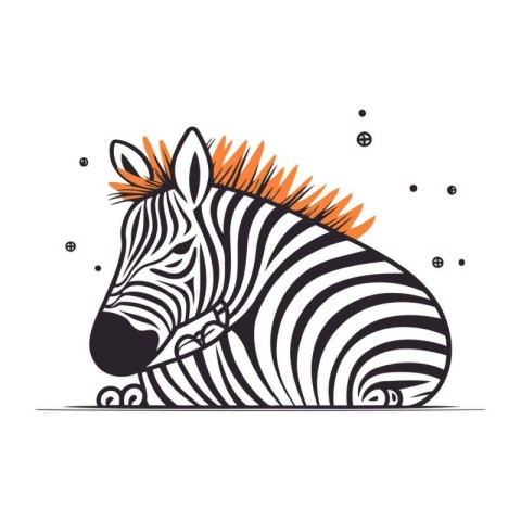 Zebra zebra. Hand drawn vector illustration in cartoon style.