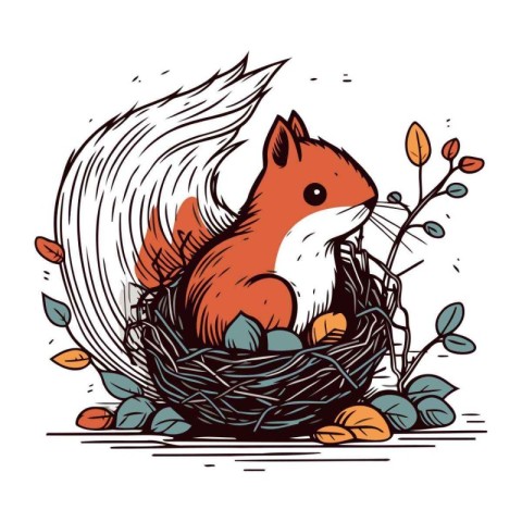 Squirrel in the nest. Vector illustration of a cute squirrel.