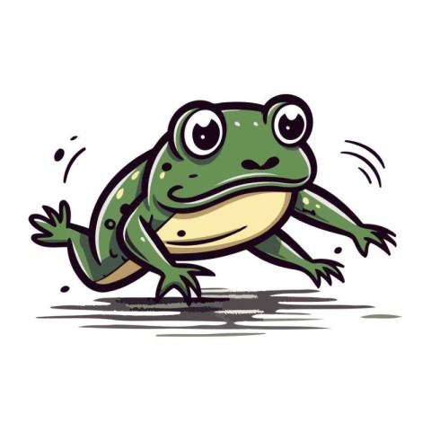 Frog. Vector illustration. Isolated on a white background.