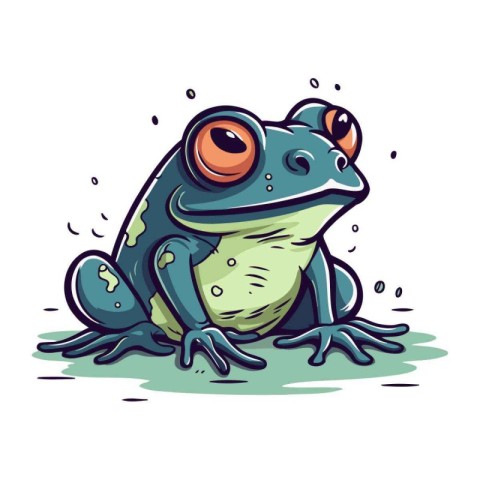 Frog. Vector illustration. Isolated on a white background.