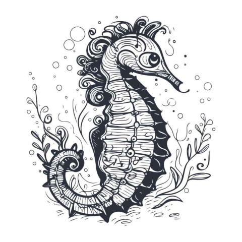 Hippocampus. Sea horse. Black and white vector illustration