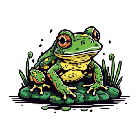 Frog sitting on a rock. Vector illustration of a cartoon frog.