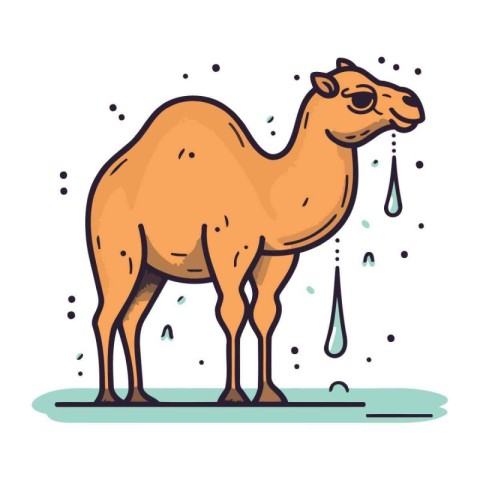 Camel with drops of water. Vector illustration in cartoon style.