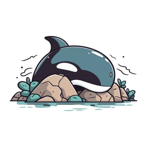 Cartoon killer whale on the rock. Vector illustration on white b