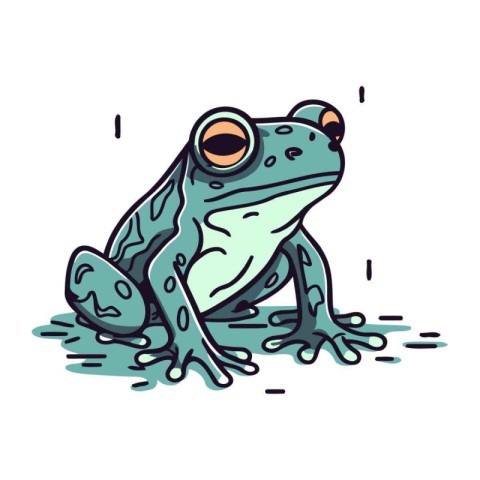 Frog. Vector illustration. Isolated on a white background.