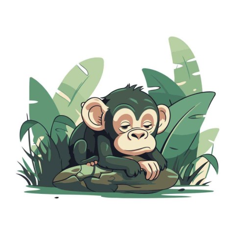 Monkey sitting on a rock in the jungle. Vector illustration.