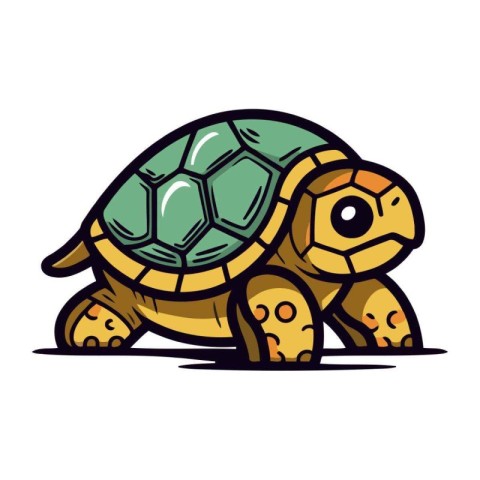 Cartoon turtle isolated on white background. Vector illustration