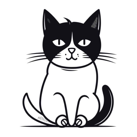 Cute black and white cat sitting on white background. Vector ill