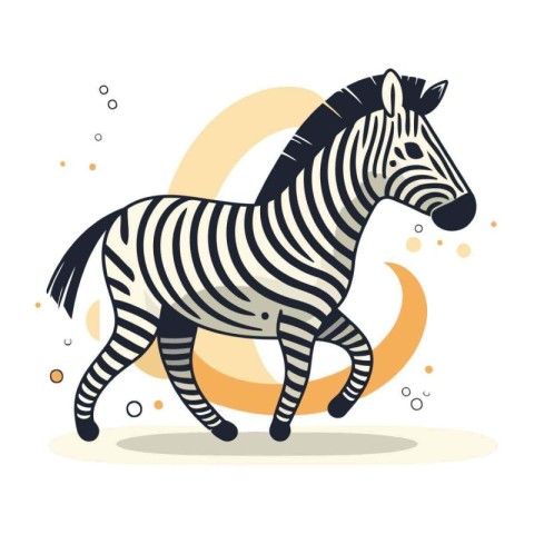 Zebra. Zebra zebra. Vector illustration. Zebra.