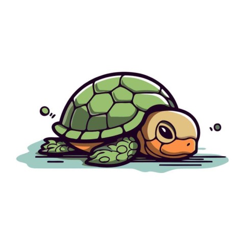 Cartoon turtle. Vector illustration. Isolated on white backgroun