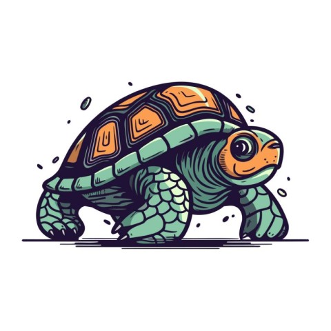 Turtle vector illustration. Cartoon style. Isolated on white bac