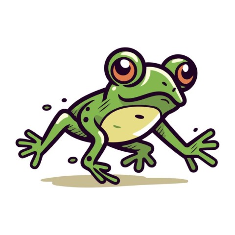 Frog cartoon vector illustration. Isolated on a white background