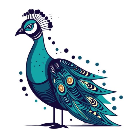 Peacock. Vector illustration. Isolated on white background.