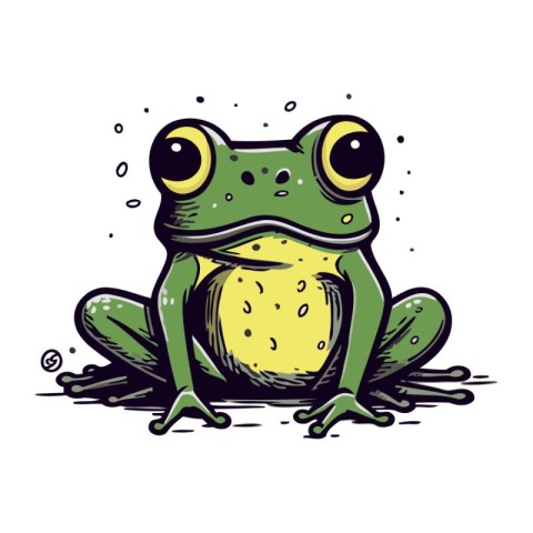 Frog. Hand drawn vector illustration. Isolated on white backgrou