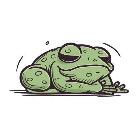 Frog. Vector illustration. Isolated on a white background.