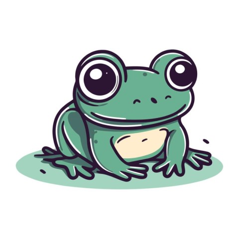 Frog. Vector illustration. Isolated on a white background.