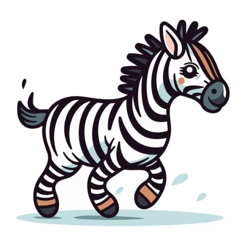 Zebra vector illustration. Zebra cartoon isolated on white backg