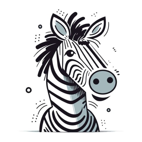 Zebra hand drawn vector illustration. Zebra head isolated on whi