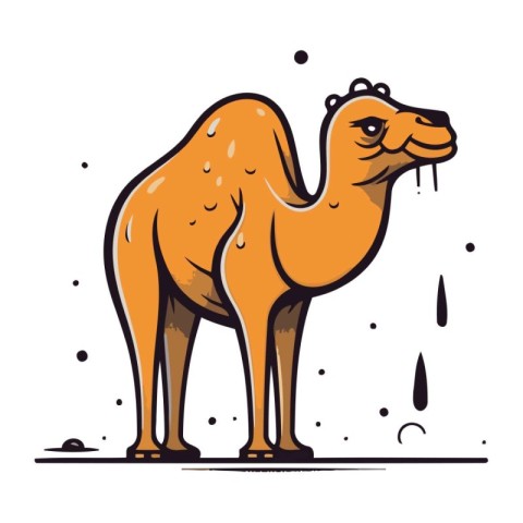 Camel. Vector illustration. Isolated on a white background.