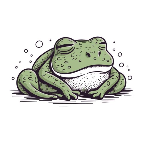 Frog. Hand drawn vector illustration. Isolated on white backgrou