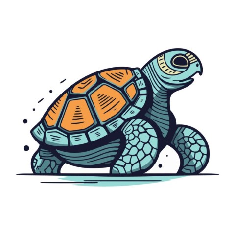 Turtle. Vector illustration. Isolated on a white background.