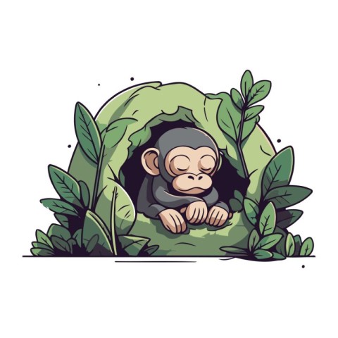 Monkey in the jungle. Vector illustration of a monkey in the jun