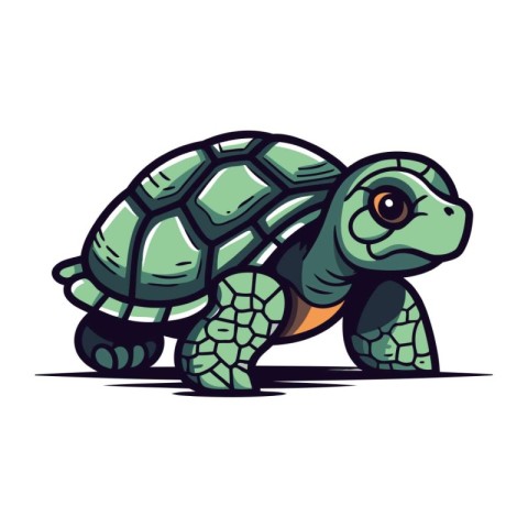 Tortoise vector illustration isolated on white background. Carto