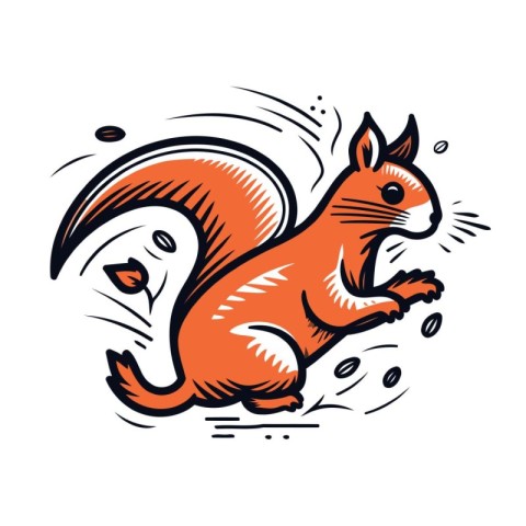 Squirrel vector illustration. Hand drawn squirrel on white backg