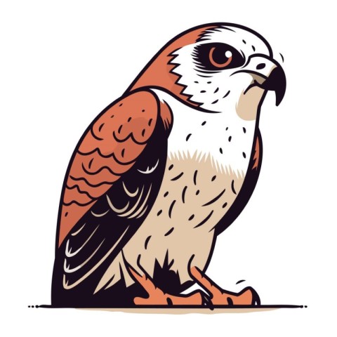 Eagle. Bird of prey. Vector illustration on white background.