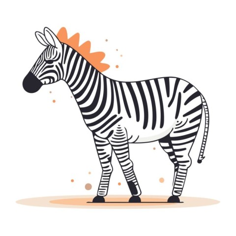 Zebra. Zebra on a white background. Vector illustration.