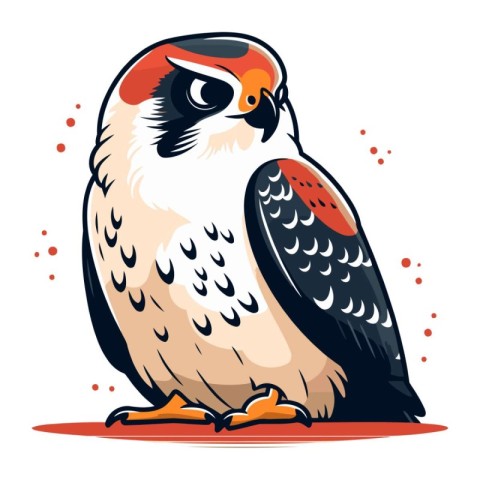 Illustration of a falcon on a white background. Vector illustrat