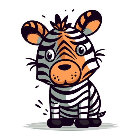 Zebra cartoon vector illustration. Isolated on a white backgroun