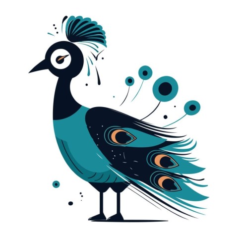 Peacock. Vector illustration. Isolated on white background.