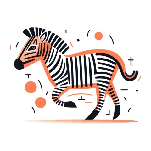 Zebra. Vector illustration. Isolated on a white background.