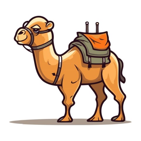 Camel with a saddle. Vector illustration isolated on white backg