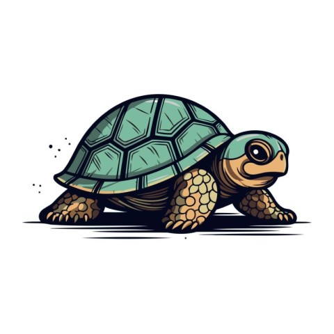 Turtle vector illustration isolated on white background. Cartoon